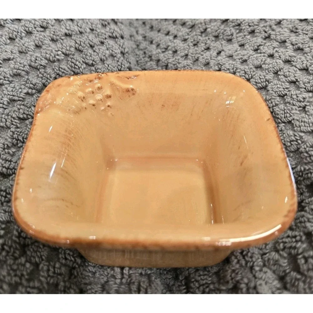 Casafina Casa Stone Madeira Harvest‎ Peach Square Dipping Bowl Portugal Ceramic